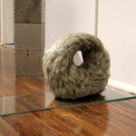 Curious Co Habitation, 2013 (Detail)