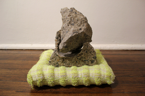 Curious Co Habitation, 2013 (Detail)