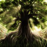 Tree Cavern