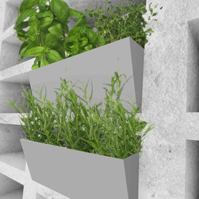 Common Ground   Planter Boxes