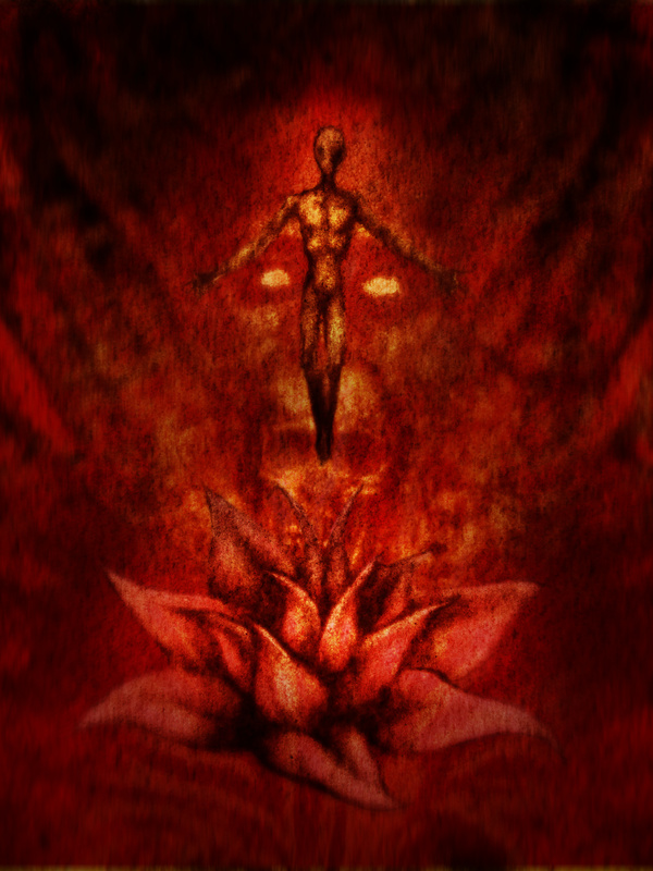 Anima Radix I