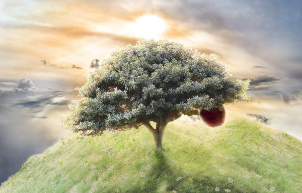 Garden Of Eve