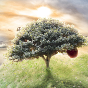 Garden Of Eve