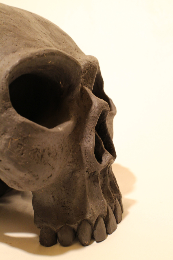 Skull