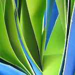 Expansive Immersive (Broome Series) [Detail]