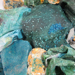 Biophilia (Detail)
