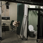 James St Enmore, 2013 From Ephemeral Sculptures Series