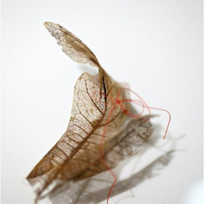 Detail, 'Fragility', Found Leaves & Thread, 100cm X 50cm, 2012.