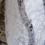 The Gaze (Installation Fragment)