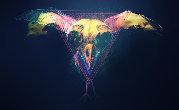 Vultures