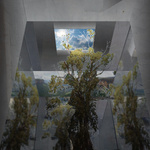 The Liminal Landscape