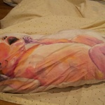  What Stains Between The Sheets   Detail