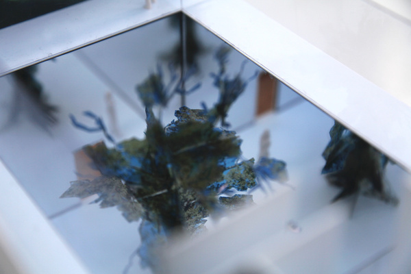 The Liminal Landscape
