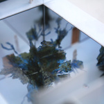 The Liminal Landscape