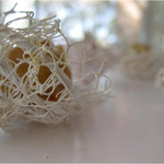 Detail, 'The Journey', Fruit Nets, Raffia, Acrylic, Poppy Dyed Silk & Pva, 2013