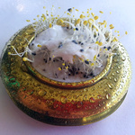 Seeded (2012) Brooch