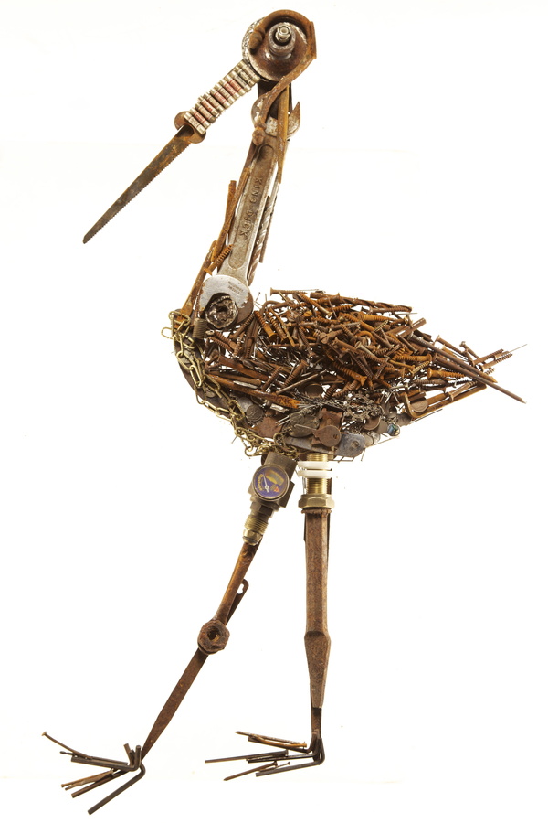 Threskiornis Aethiopicus