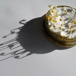 Seeded (2012) Brooch
