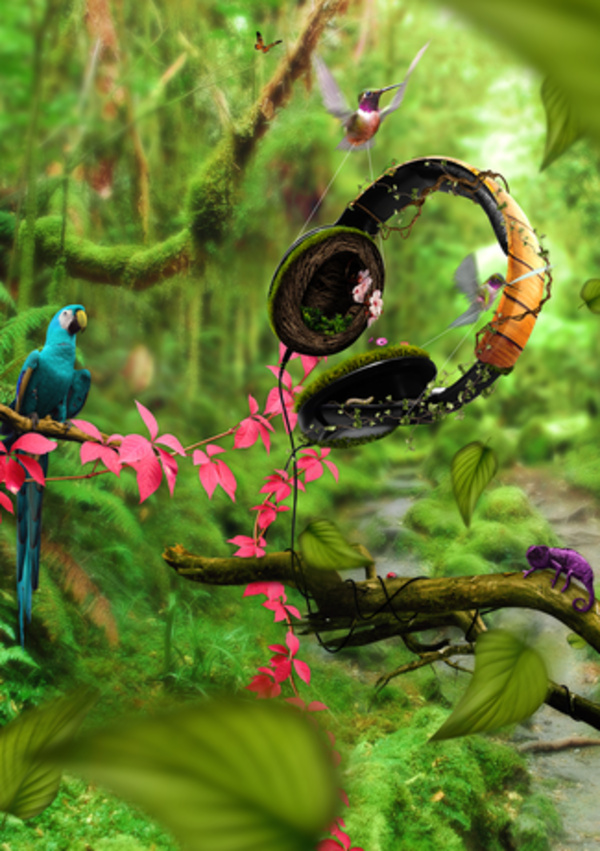 Audio Jungle