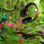 Audio Jungle