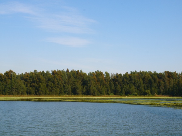 The Textures Of Green And Blue