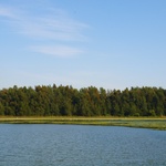 The Textures Of Green And Blue