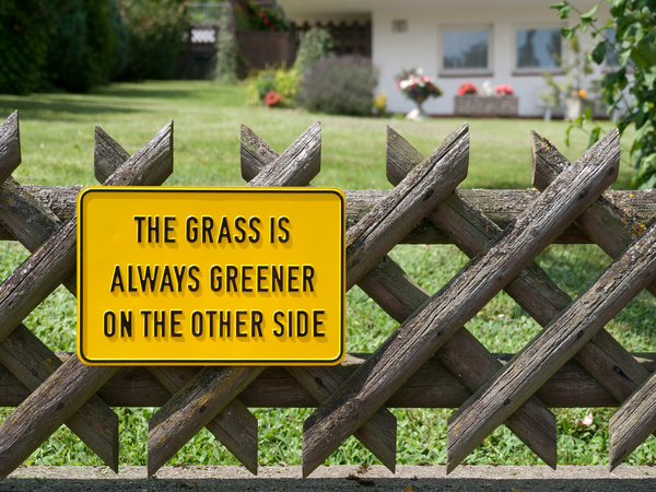 Counterplate [The Grass Is Greener On The Other Side]