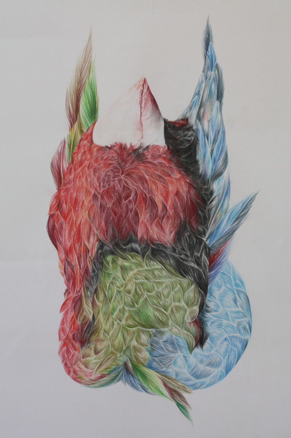 The Birds