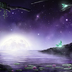 Moonrise Bay