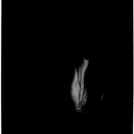 Ghosts Series Part 1