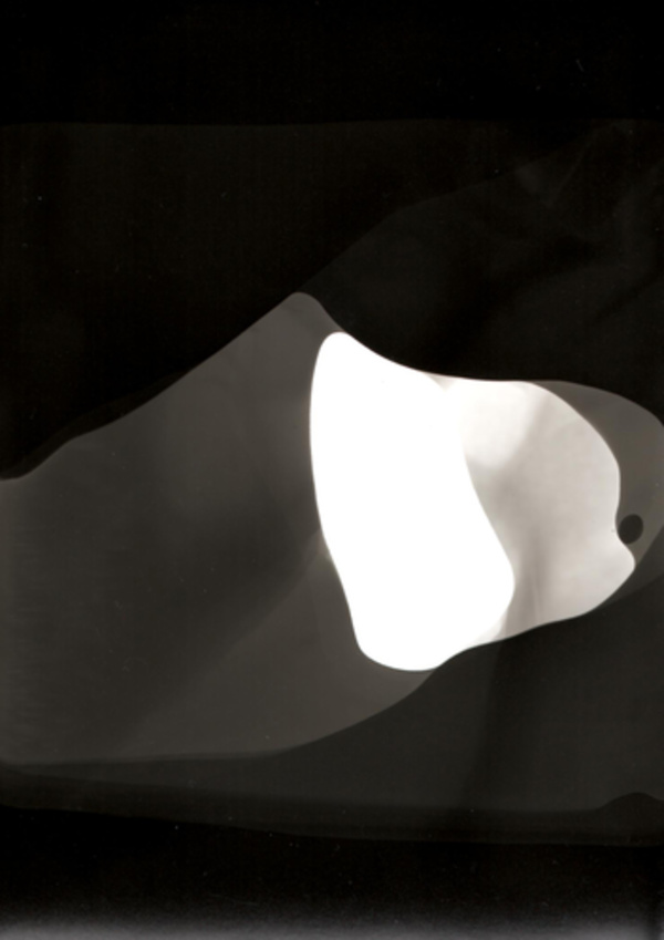 Exposure Experiment (20)