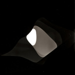 Exposure Experiment (40)