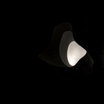 Exposure Experiment (50)