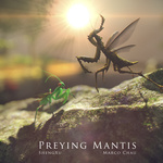 Preying Mantis