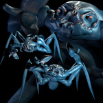 The Harvest: Crab Monster