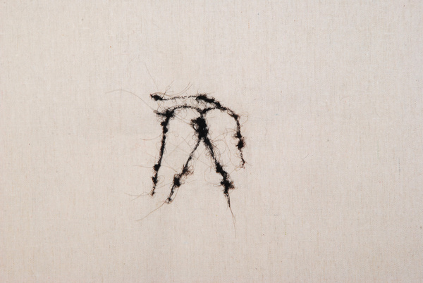 Untitled, 2013, Series Ii From Vii, Wife Of Collatinus   Desire Of Tarquinius ,Human Hair On Calico, 38cm X 36 Cm.