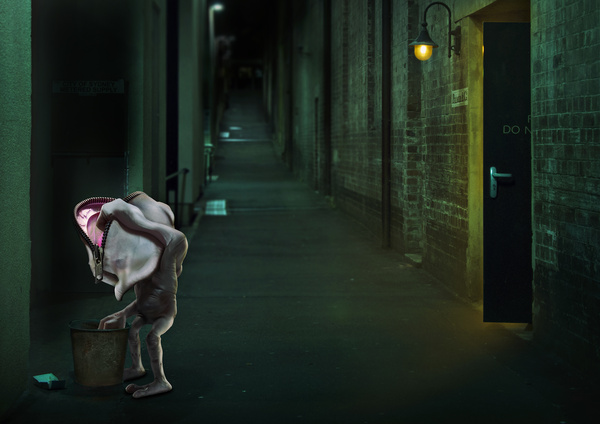 Alley