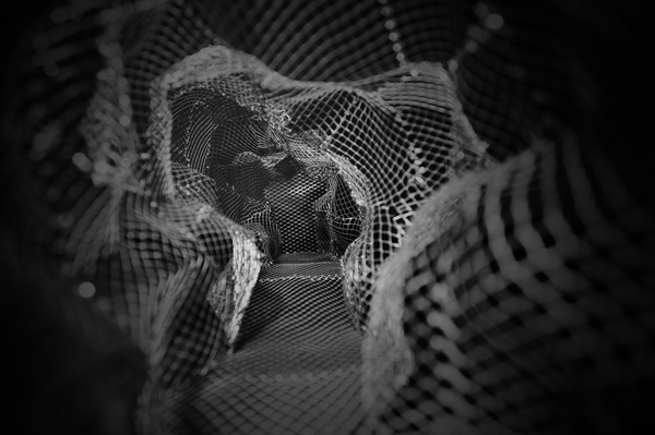 (Re)Forming The Cage