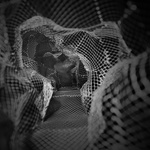 (Re)Forming The Cage