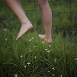 Levitate