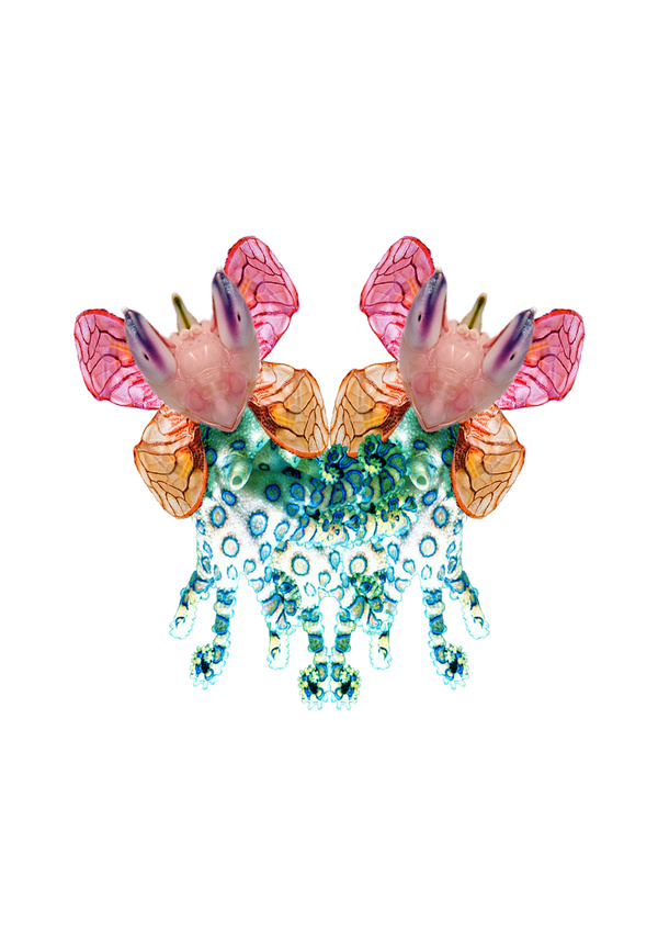 'Untitled' (2013)