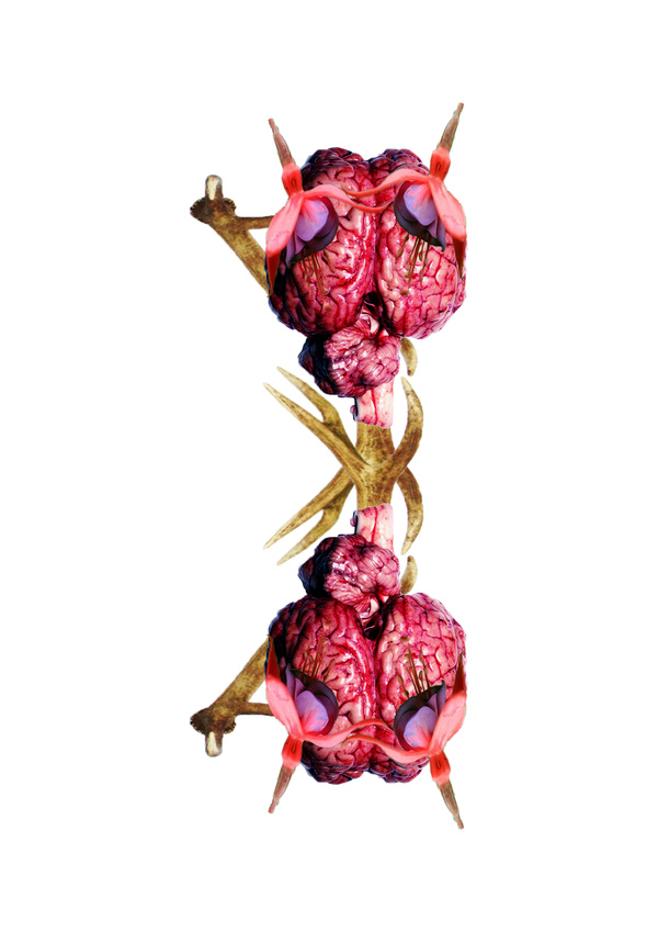 'Untitled' (2013)