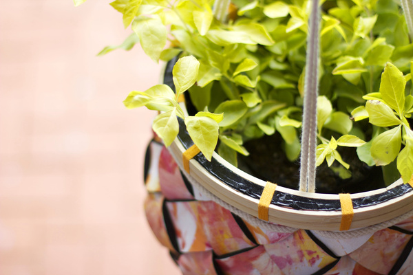 Pyri Planters