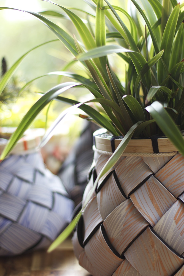Pyri Planters