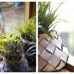 Pyri Planters