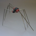 Saccularius