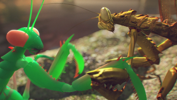 Preying Mantis