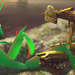 Preying Mantis