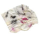 Untitled (From The Series Blemishes)