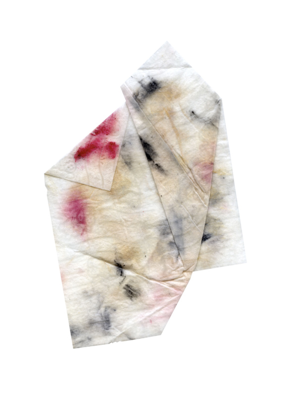 Untitled (From The Series Blemishes)